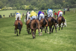 ltimate-Betting-Guide-for-Kentucky-Derby-2024-ashjdaw123
