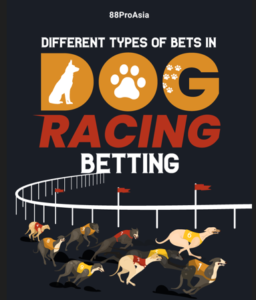 Different-Types-of-Bets-in-Dog-Racing-Betting-asdhaw123